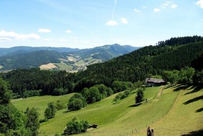 Black Forest Day Tour Black Forest Day Tour