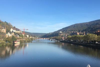 Private day excursion from Heidelberg with Mercedes S-class