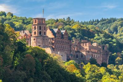 Touristic highlights of Heidelberg on a Private half day tour with a local