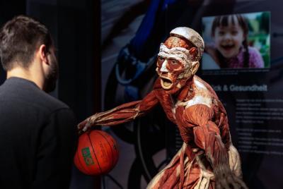 BODY WORLDS Museum 