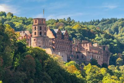 Heidelberg Like a Local: Customized Private Tour Heidelberg Like a Local: Customized Private Tour
