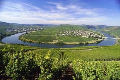 Grape Escape Mosel - Personal wine tour