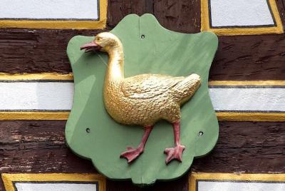 2 Hour Mainz Quiz for Children and Teenagers