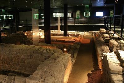 2 Hour Private Guided Walking Tour: Roman Mainz