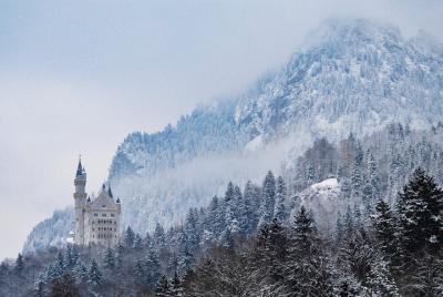 LuxuryVan Castles Tour from Munich to Neuschwanstein Hohenschwangau Linderhof