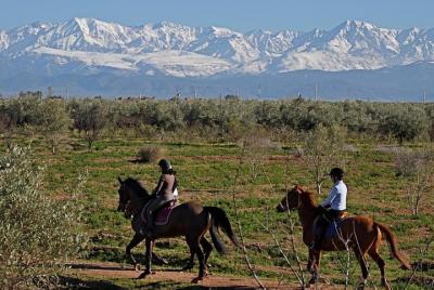 Marrakech Horse Riding Marrakech Horse Riding