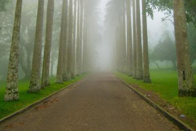 Escape Accra City to Aburi Gardens and Tetteh Quarshie Cocoa Farm Escape Accra City to Aburi Gardens and Tetteh Quarshie Cocoa Farm
