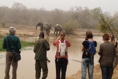 3 Days Grassroots Safari To Mole 3 Days Grassroots Safari To Mole