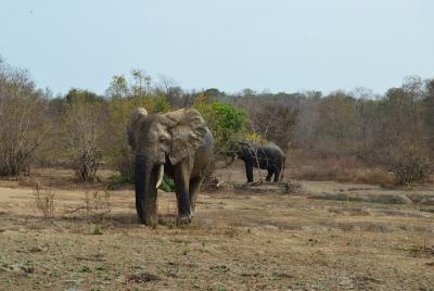The best of Tamale walking tour The best of Tamale walking tour