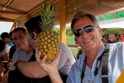 Pineapple Tour Pineapple Tour