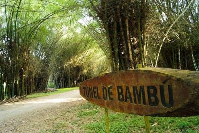 Sightseeingss in Tela Things to do in  Tela 184774