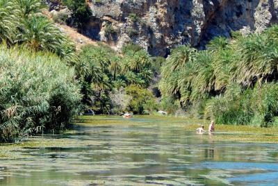 South Trip Special (Small Group Tour) South Trip Special (Small Group Tour)