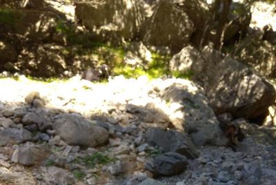 Full-Day Hiking Tour in Imbros Gorge