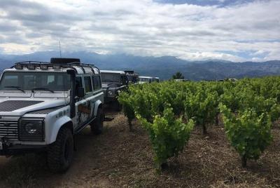 Uncharted Escapes: Private Exclusive Manousakis Winery and Vineyard Tour