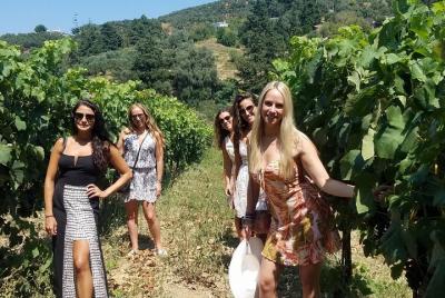 Semi-Private Full Day Wine, Olive Oil, and Cultural Tour 