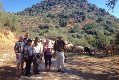 Experience the traditional villages of Chania