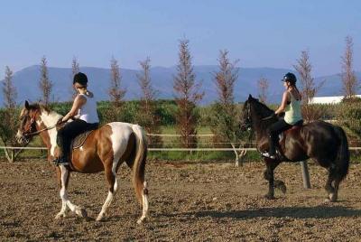 Horse Riding Experience in Nafplio Horse Riding Experience in Nafplio