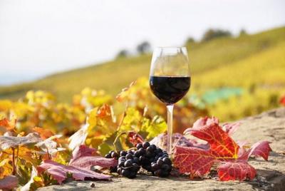 Private tour: Full day Wine Tasting Naousa & Ag.Nikolaos Private tour: Full day Wine Tasting Naousa & Ag.Nikolaos