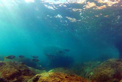 4 Dives Package 4 Dives Package