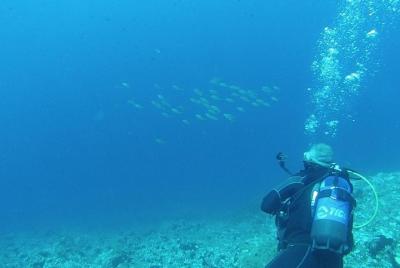 10 Dives Package 10 Dives Package