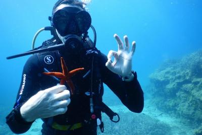 Discover SCUBA DIVING stand-alone diving Discover SCUBA DIVING stand-alone diving