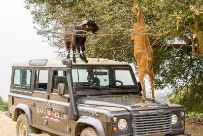 Full-Day Land Rover Safari from Heraklion with Lunch Full-Day Land Rover Safari from Heraklion with Lunch