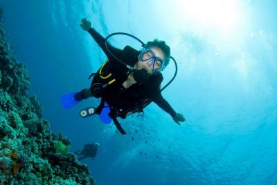 Lets Go Diving Lets Go Diving