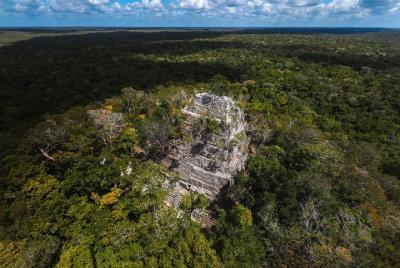 El Mirador And Yaxha Tour From Guatemala City 2d / 1n