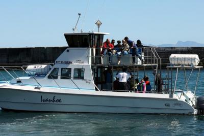 Big 5 Sea Safari in Walker Bay from Gansbaai Big 5 Sea Safari in Walker Bay from Gansbaai
