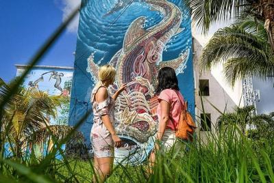 Cancun Private Street Art Tour  Cancun Private Street Art Tour