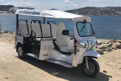 e-Tuk Mykonos Panorama & Brewery VIP Tour e-Tuk Mykonos Panorama & Brewery VIP Tour