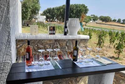 Wine Tasting Tour at a traditional farm in Mykonos Wine Tasting Tour at a traditional farm in Mykonos