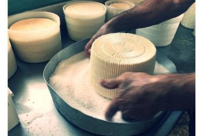 Cheese & Wine Trails