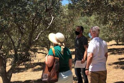 Private Tour and Wine Tasting in Mykonian Land  Private Tour and Wine Tasting in Mykonian Land