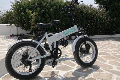 Rent an Aurelia e-bike Rent an Aurelia e-bike