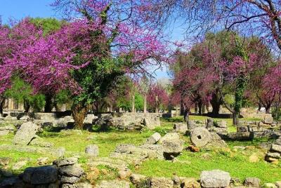 Private Olympia tour (4.5 hours) Private Olympia tour (4.5 hours)