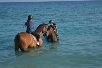 Horse riding on the Beach, Rhodes Horse riding on the Beach, Rhodes