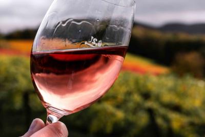 Wine tasting of International wine vareties in Greek terroir. Wine tasting of International wine vareties in Greek terroir.