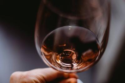 Wine tasting of Indigenous and ancient grapes of Greece