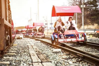 ❃ (Free meal !!) Nami Island & Garden of Morning Calm & Gangchon  ❃ (Free meal !!) Nami Island & Garden of Morning Calm & Gangchon