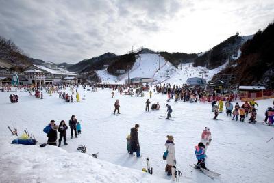 Elysian Gangchon Ski with Nami Island and Garden of Morning Calm( Elysian Gangchon Ski with Nami Island and Garden of Morning Calm(