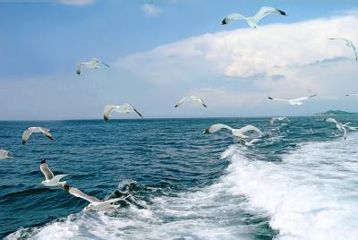 Thessaloniki: Day Trip to Ouranoupoli with Mt. Athos Cruise Thessaloniki: Day Trip to Ouranoupoli with Mt. Athos Cruise