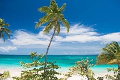 Half-Day Scenic Driving Tour of the Grenada West Coast Half-Day Scenic Driving Tour of the Grenada West Coast