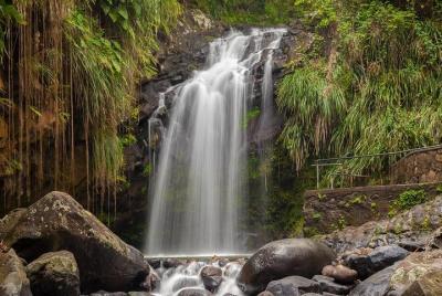 Waterfalls Adventure Hikes in St. George Waterfalls Adventure Hikes in St. George's, Grenada