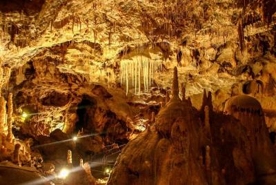 The Bear's Cave - One-Day Minivan Tour from Oradea