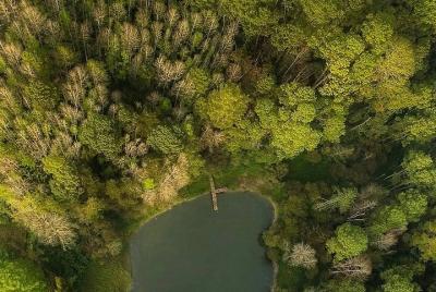 Visit The National Park Las Victorias On a Half-Day Tour From Cob Visit The National Park Las Victorias On a Half-Day Tour From Cob