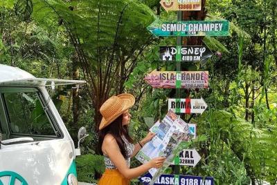 Visit The Greatest Orchid Sanctuary: Orquigonia - Half Day Tour F Visit The Greatest Orchid Sanctuary: Orquigonia - Half Day Tour F