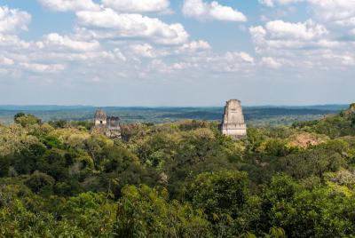 TikalVIP private day Tour from Flores or tikal with transport and TikalVIP private day Tour from Flores or tikal with transport and