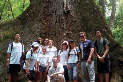Tikal Day Tour with Lunch from Flores  Tikal Day Tour with Lunch from Flores