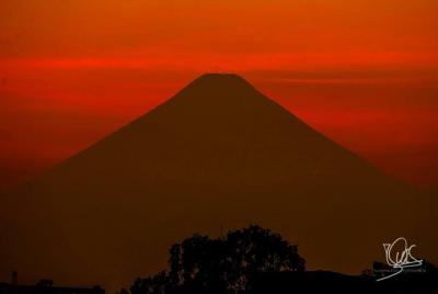 Guatemala city walking tour Guatemala city walking tour